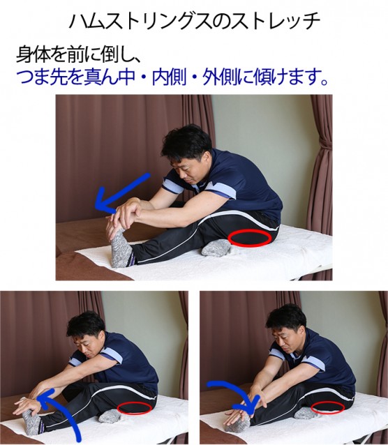 身体を前に倒し、つま先を真ん中・内側・外側に傾けてストレッチしてみてください。 ハムストリングス(太モモ裏側)の真ん中・外側・内側がそれぞれ伸びていきます。 ここも一方向30秒から1分程度を行うと徐々に筋肉が伸ばされていきます。 膝関節を伸ばしすぎると膝の後ろにしか効かなくなってしまうので、膝は軽く曲げておきましょう!