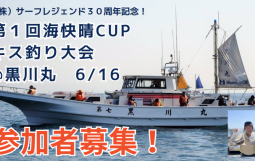 CUP1-e1712815187919