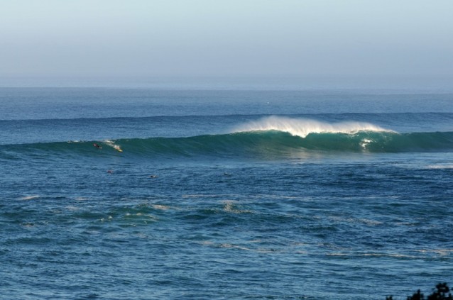 th_DSC_8114