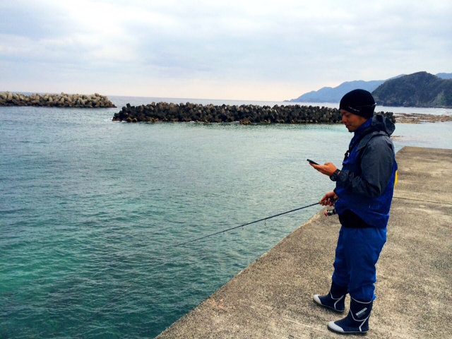 写真 3