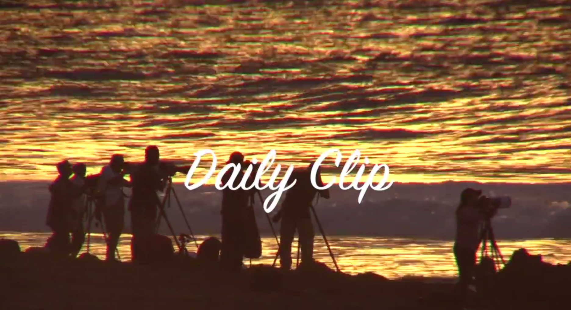 dailyclip