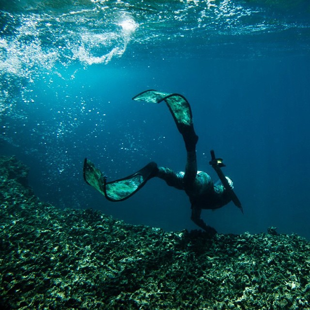 depactus_sea