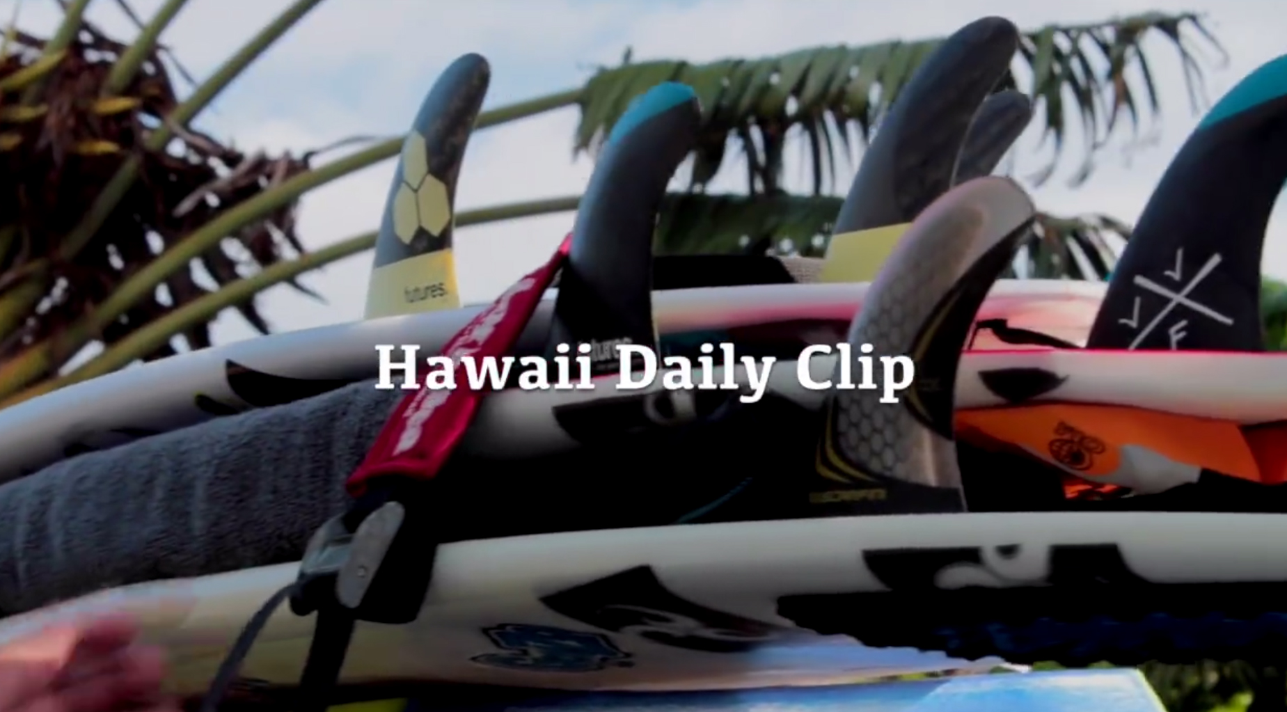 hawaiidailyclip
