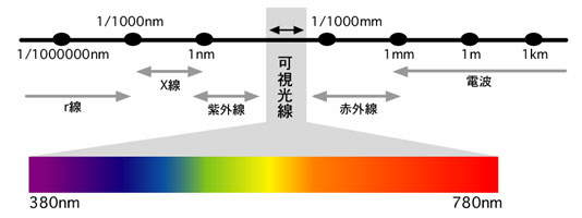 tahara2