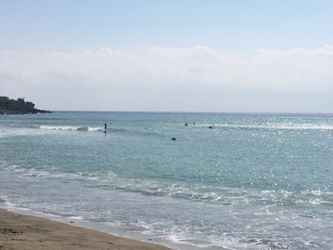 写真29