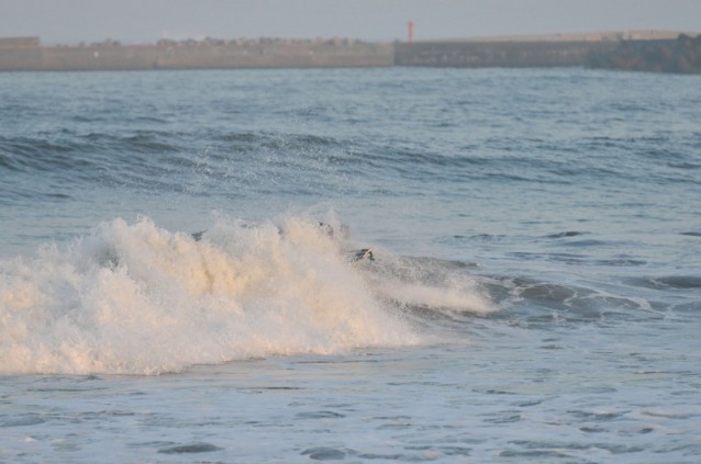 th_DSC_0269