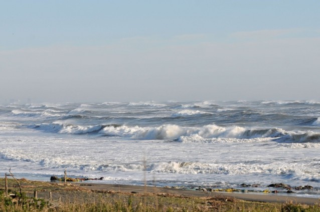 th_DSC_3473