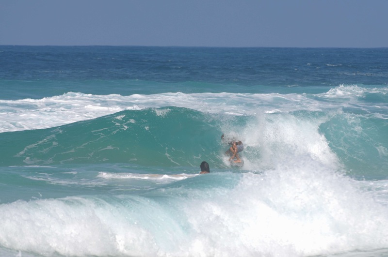 th_DSC_4557