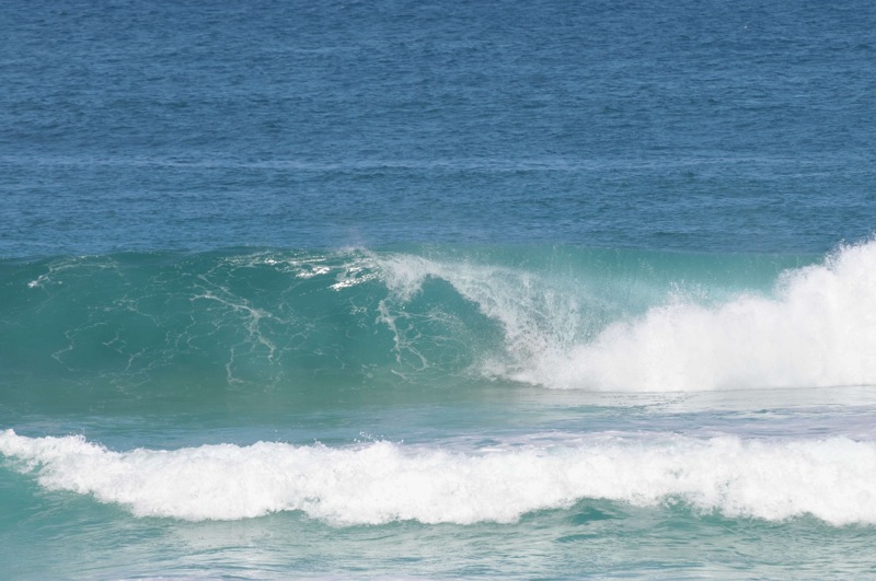 th_DSC_4761