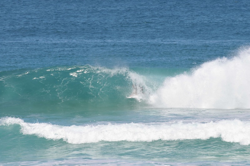 th_DSC_4762
