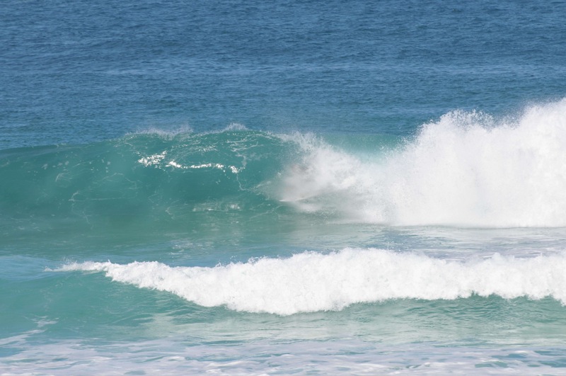 th_DSC_4763