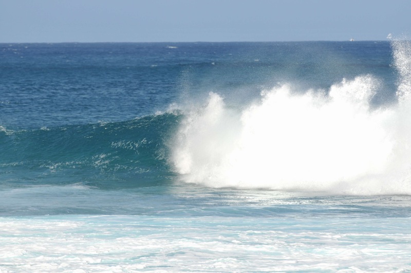 th_DSC_8703