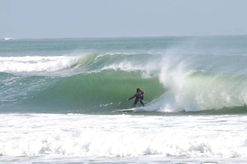 th_DSC_2200
