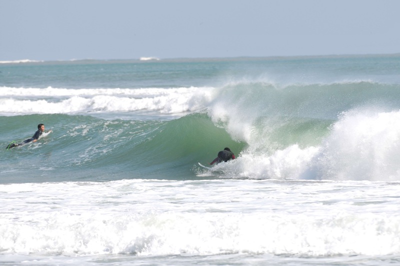 th_DSC_2202