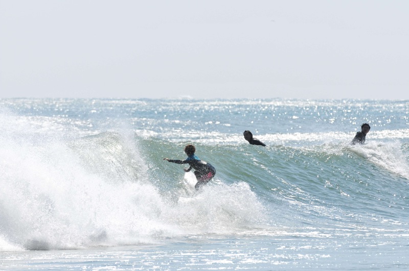 th_DSC_2324