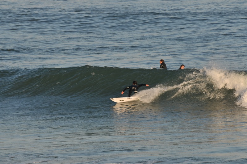 th_DSC_2522