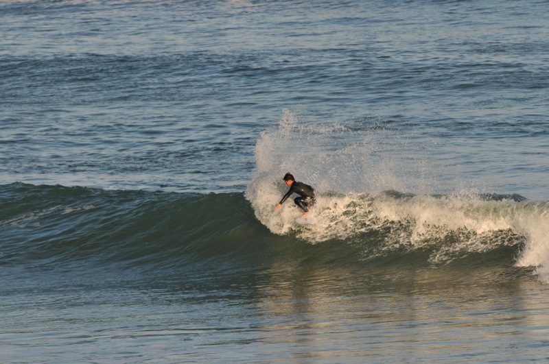 th_DSC_2528