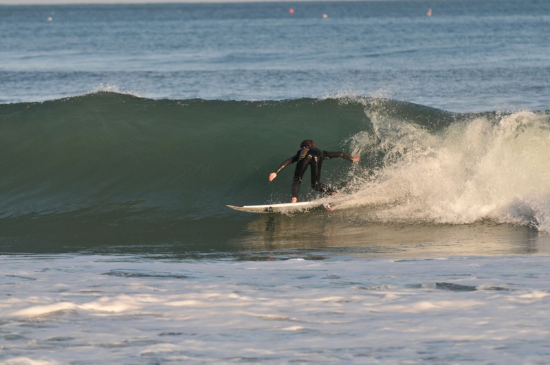th_DSC_2534