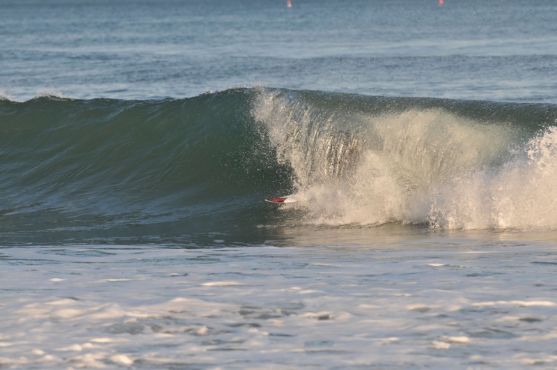 th_DSC_2537