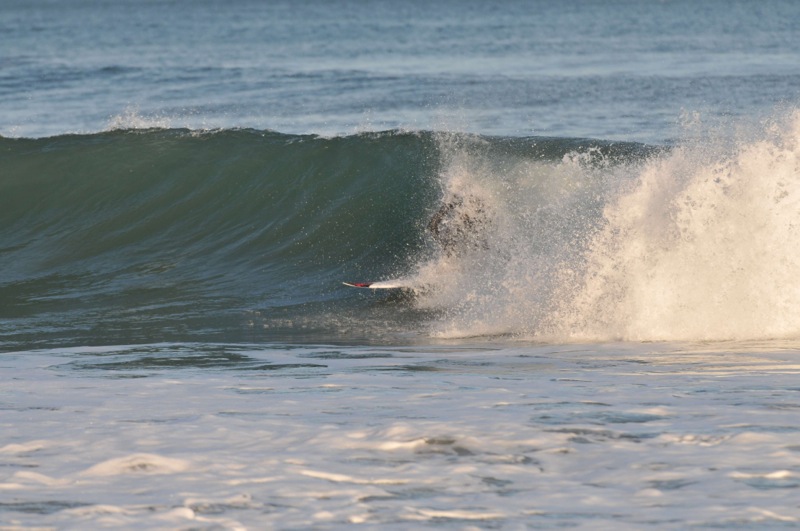 th_DSC_2538