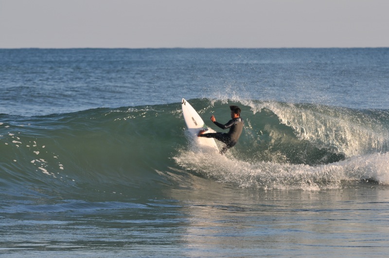 th_DSC_2606