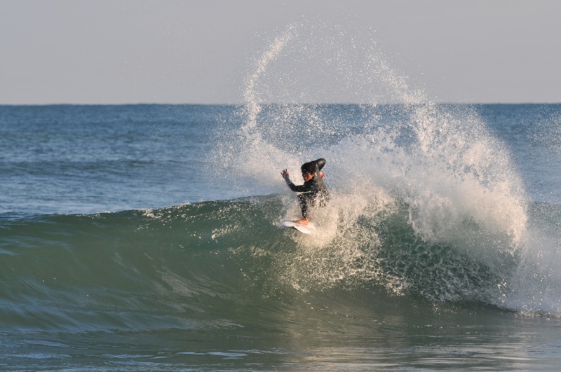 th_DSC_2610