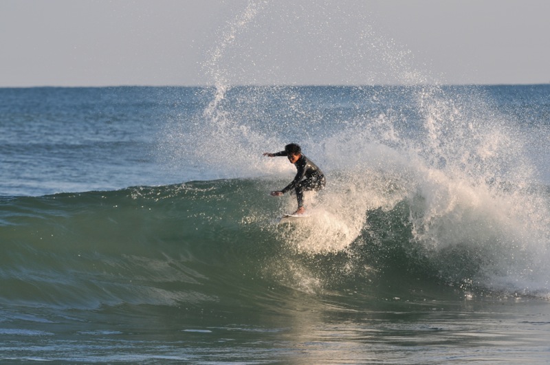 th_DSC_2611