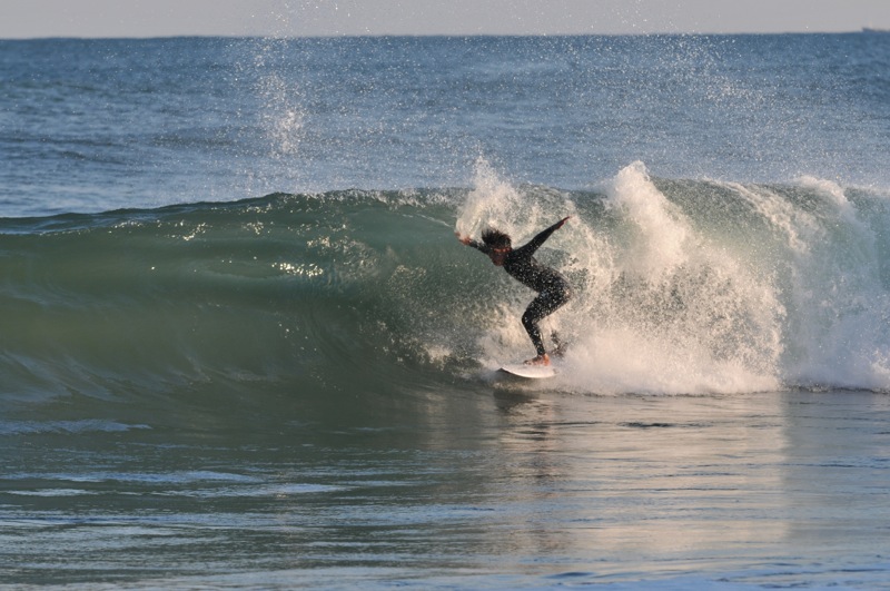 th_DSC_2613