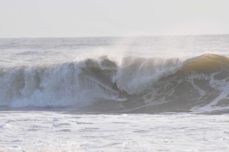 th_DSC_3000