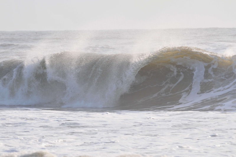 th_DSC_3001