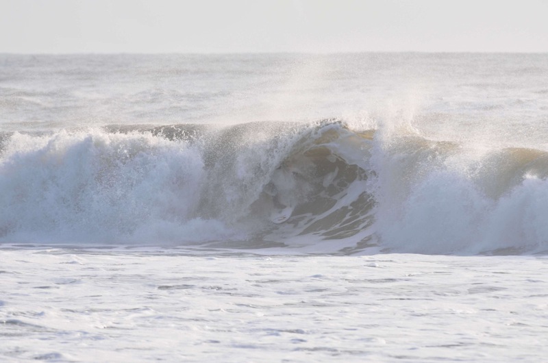 th_DSC_3003