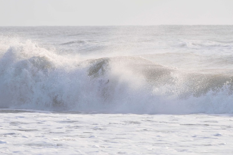 th_DSC_3005