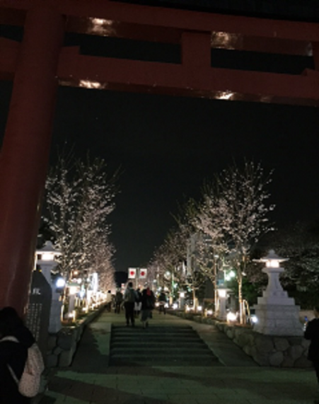 参道のライトアップは古都鎌倉というよりも、少しだけ六本木よりではないですかね。
