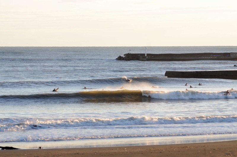 th_DSC_1474