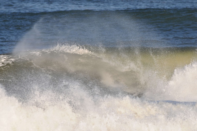 th_DSC_5181