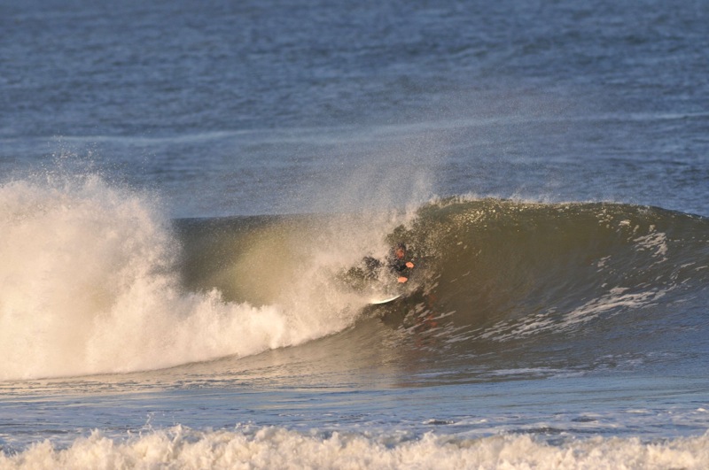 th_DSC_5436