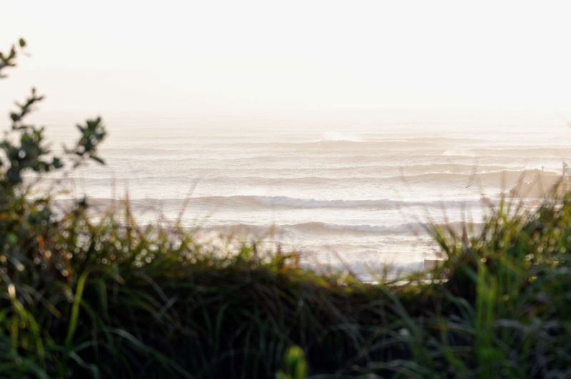 th_DSC_6097