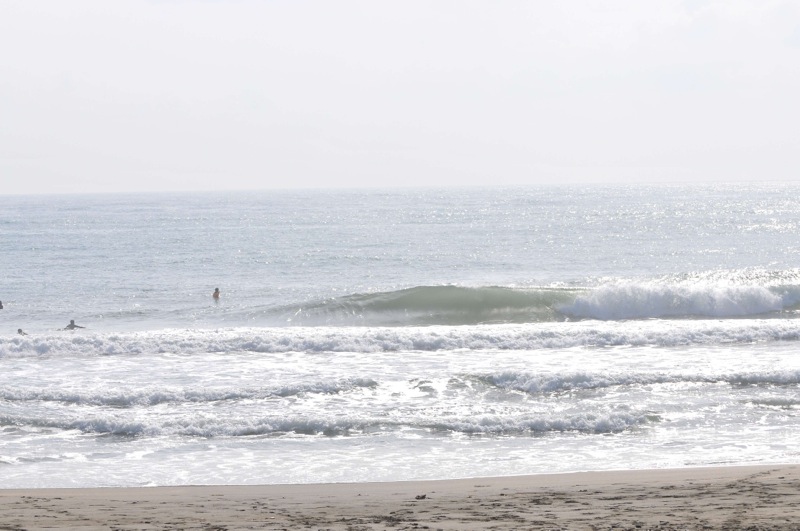 th_DSC_8366