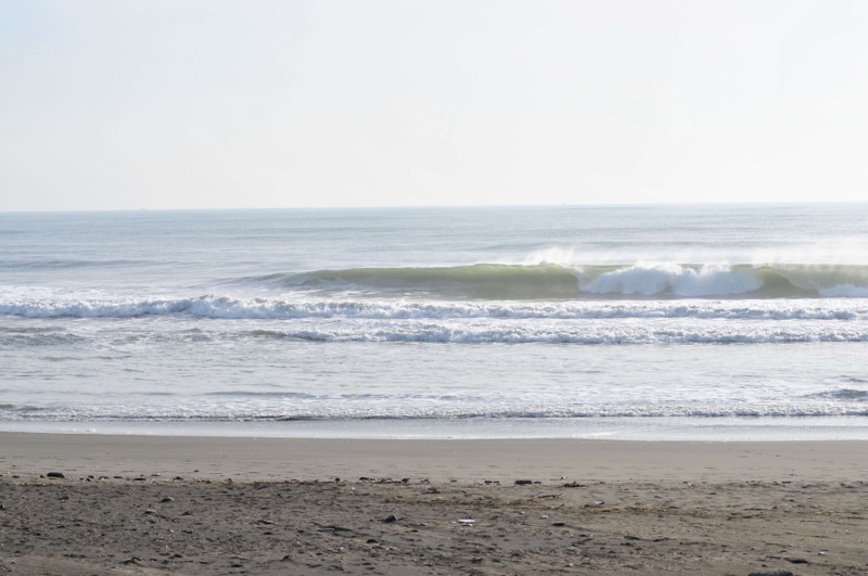 th_DSC_7340