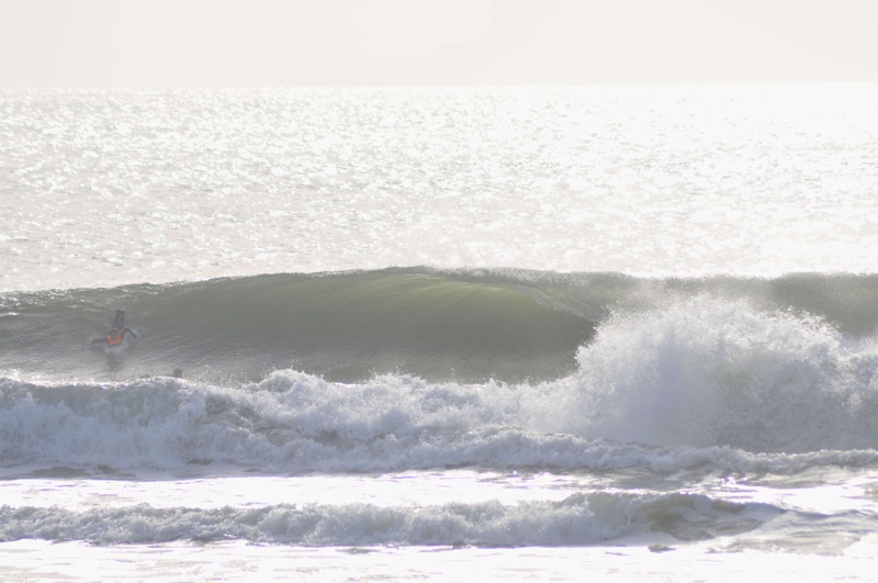 th_DSC_7379