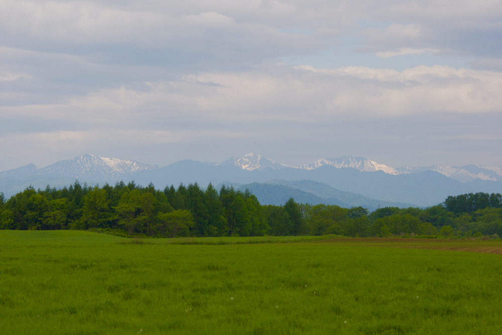 _KK36687