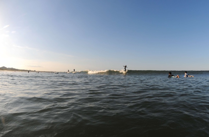 th_DSC_7167