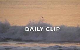 『DailyClip』QS6000で集結した日本人フリーセッションシリーズvol.5