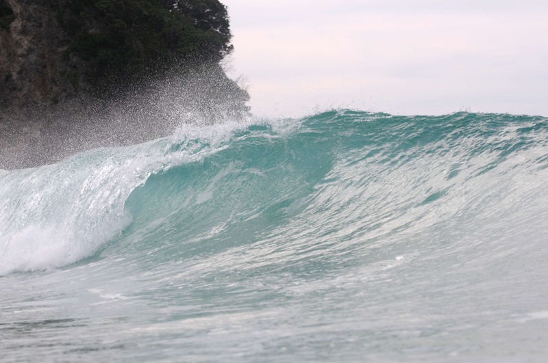 th_DSC_6134