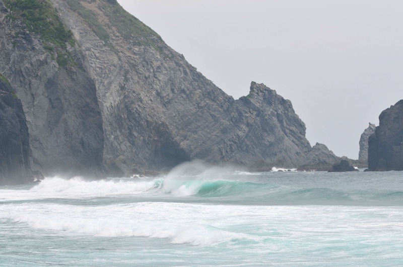 th_DSC_5923