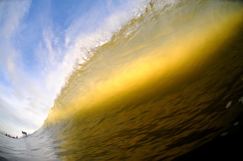 th_DSC_8553