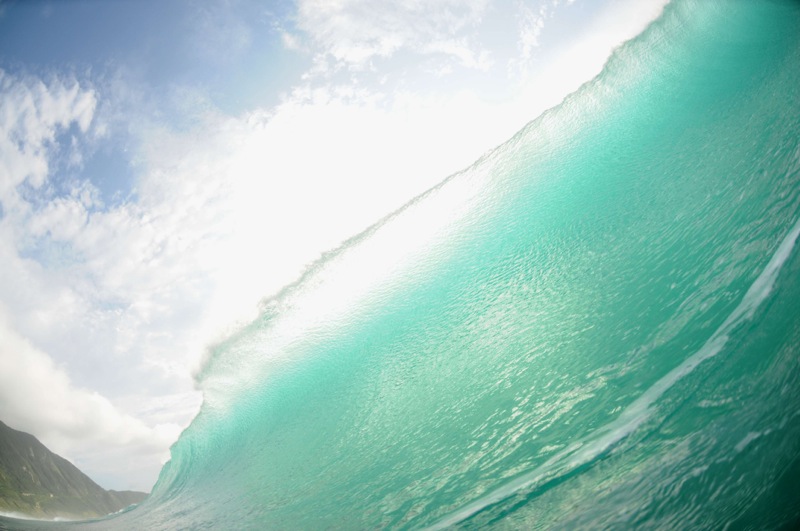 th_DSC_2662