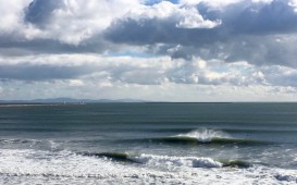IMG_4816