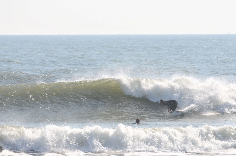 th_DSC_0601