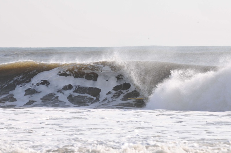 th_DSC_1437